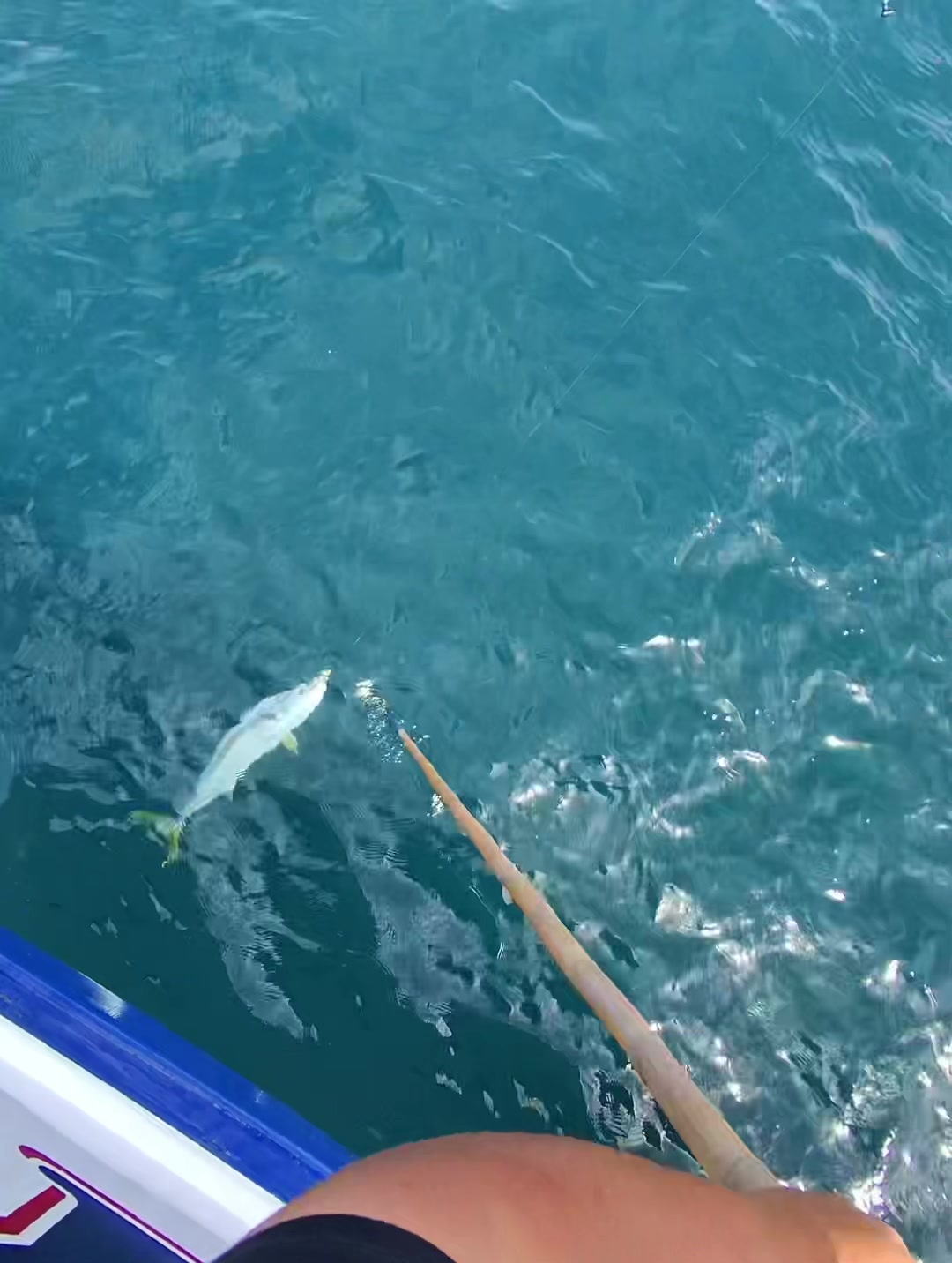 @matt.fishh