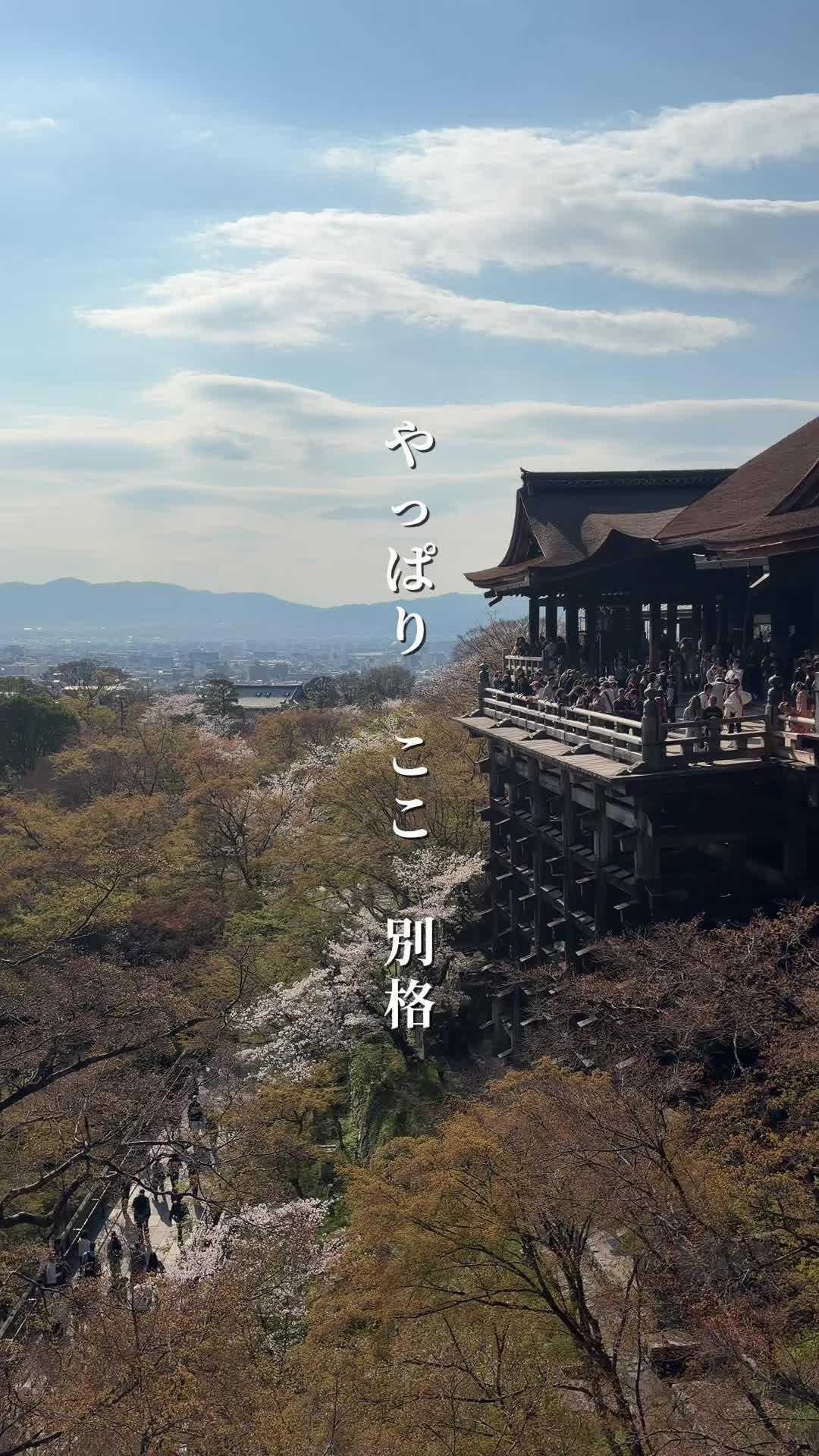 @fuma.関西旅行記録