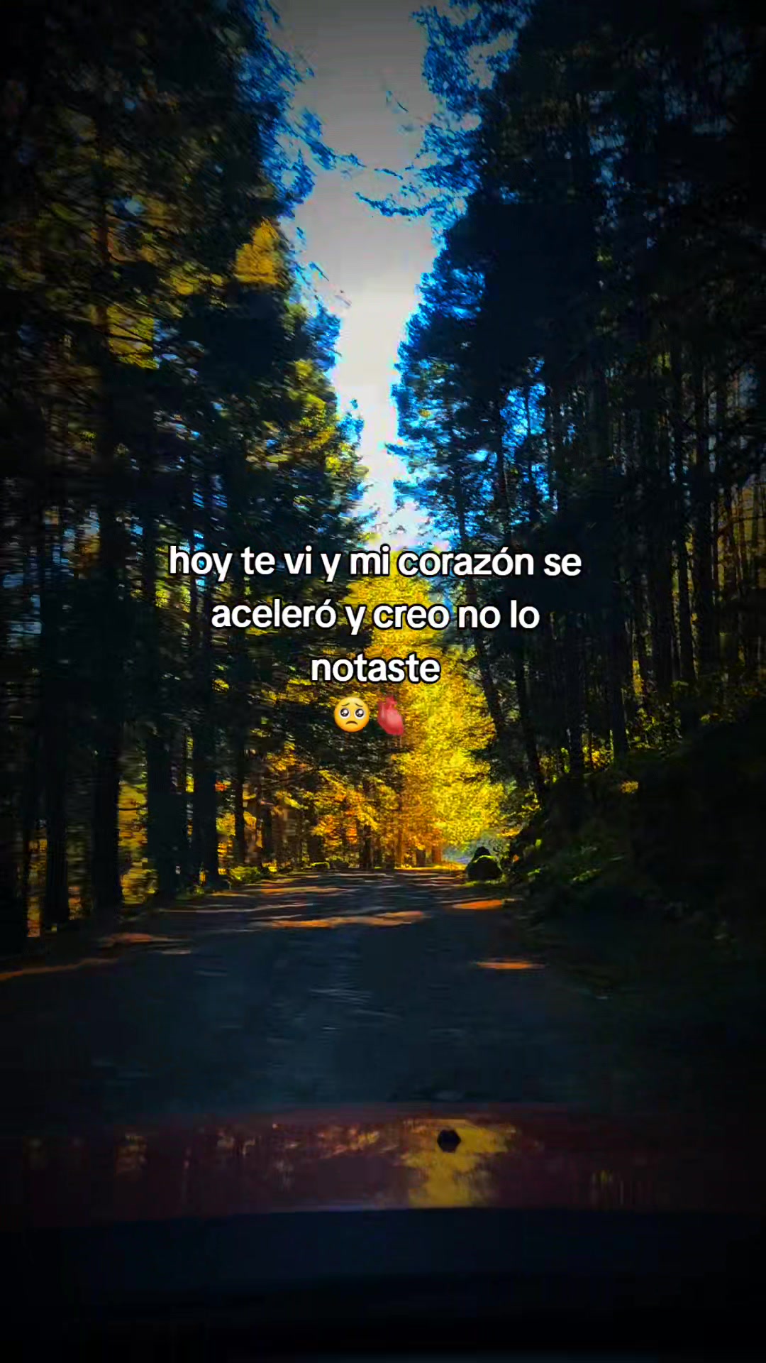 @Pons