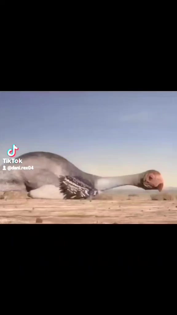 @dani tista especial 🦕🦖💚