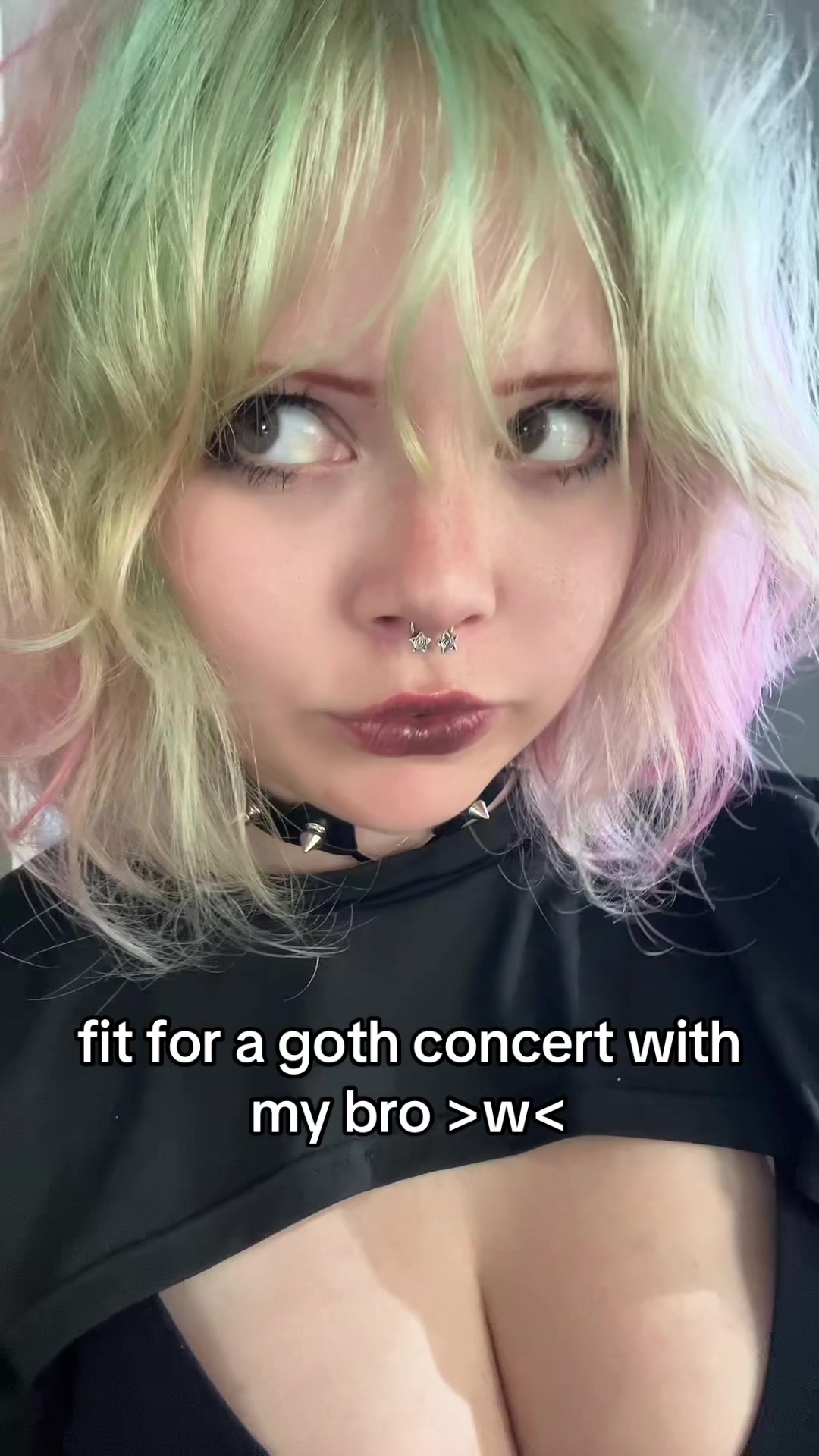@kaii ₍^. .^₎⟆