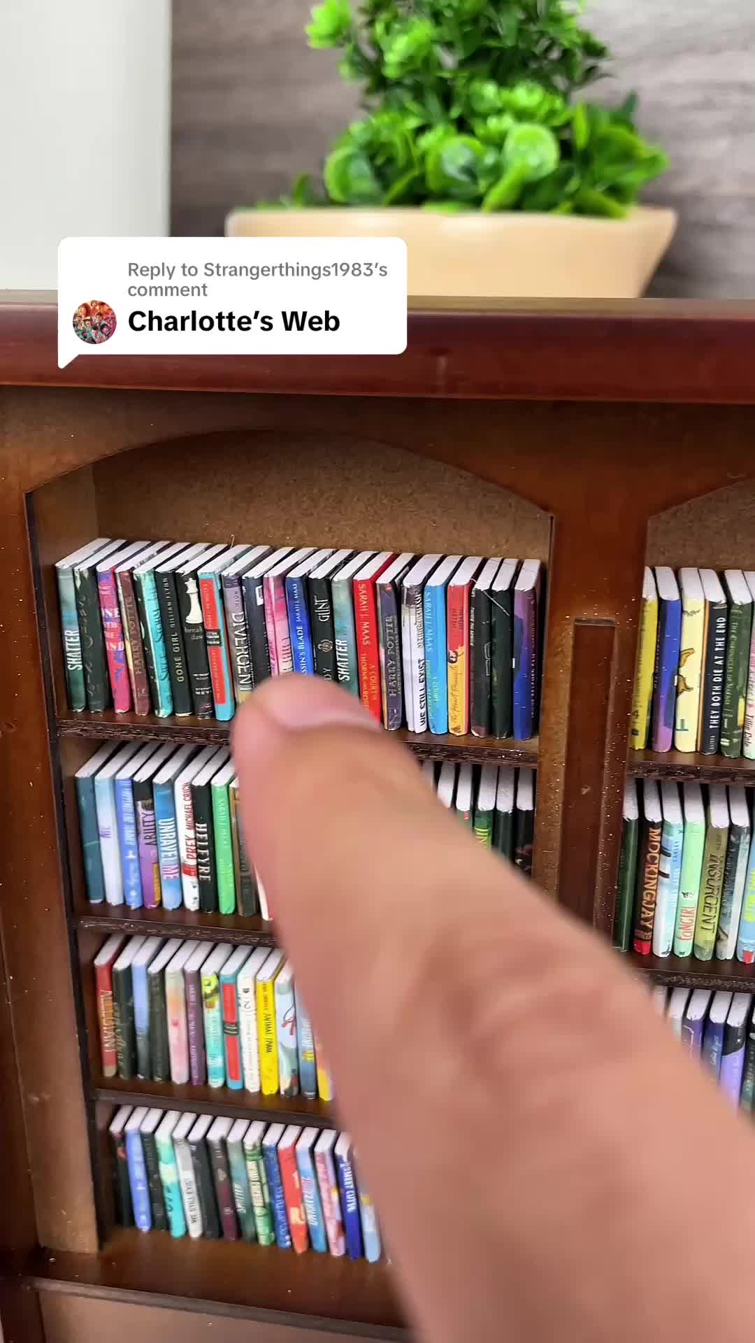 @shelftherapy