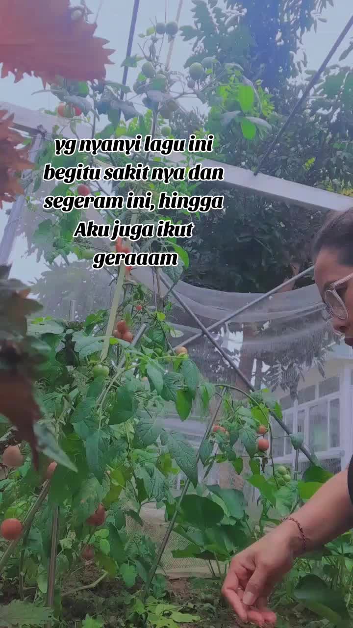 @kolisblitar