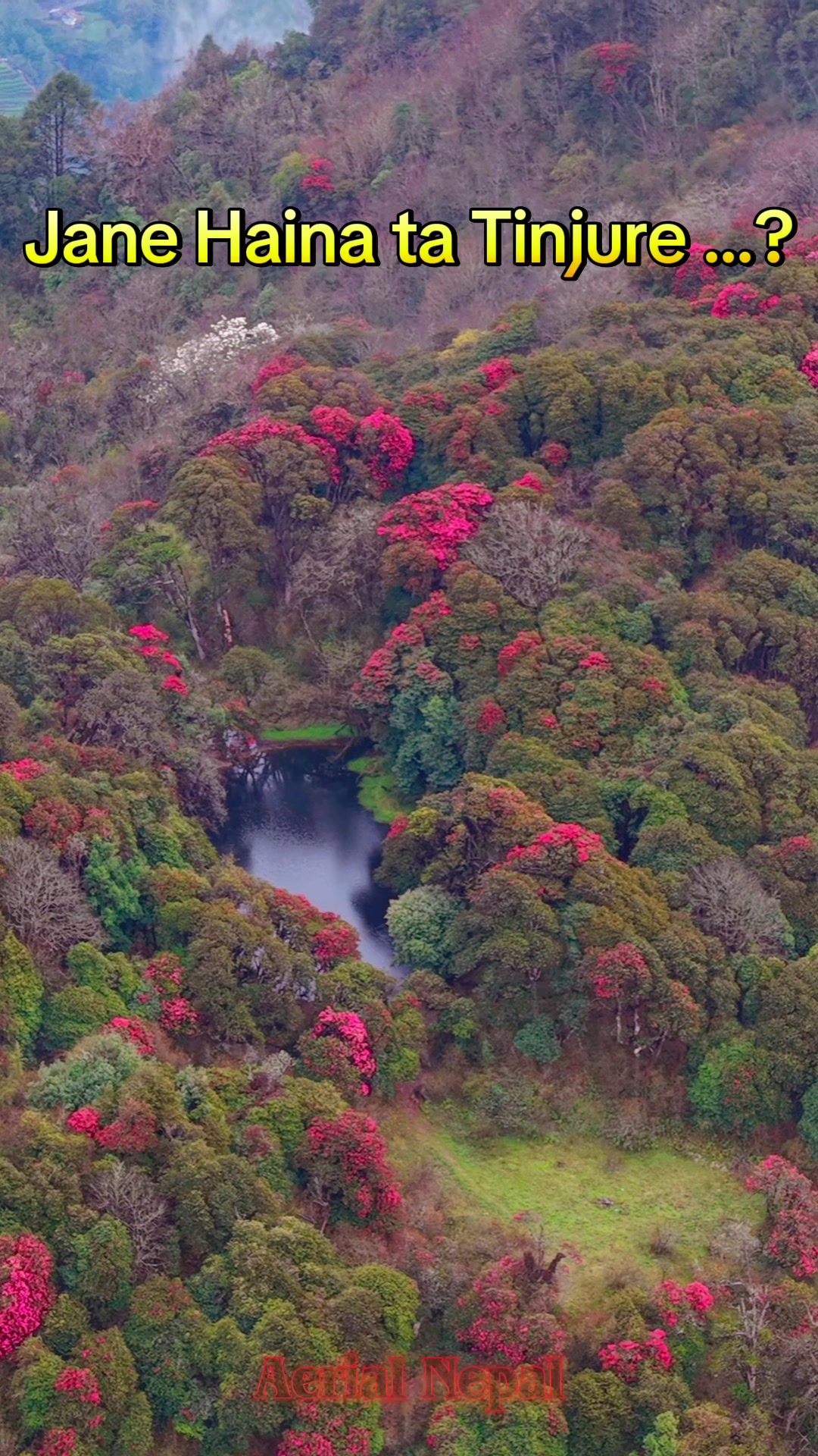 @Aerial Nepal