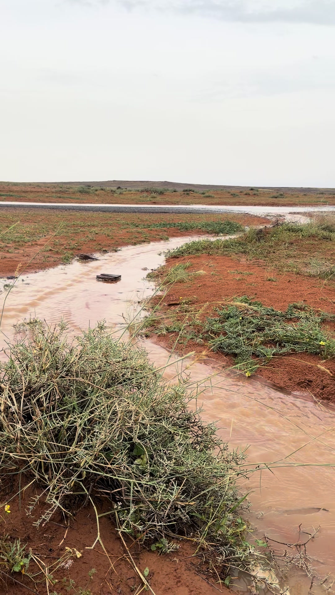 @ابو دُرة |عبدالعزيزمحمد ✪🏕️⛈️