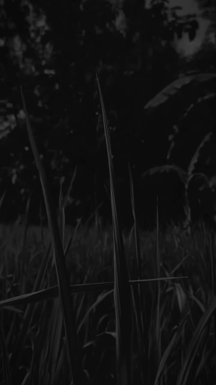 @𝙣𝙤𝙣𝙜𝙠𝙚𝙨𝟮𝟲_