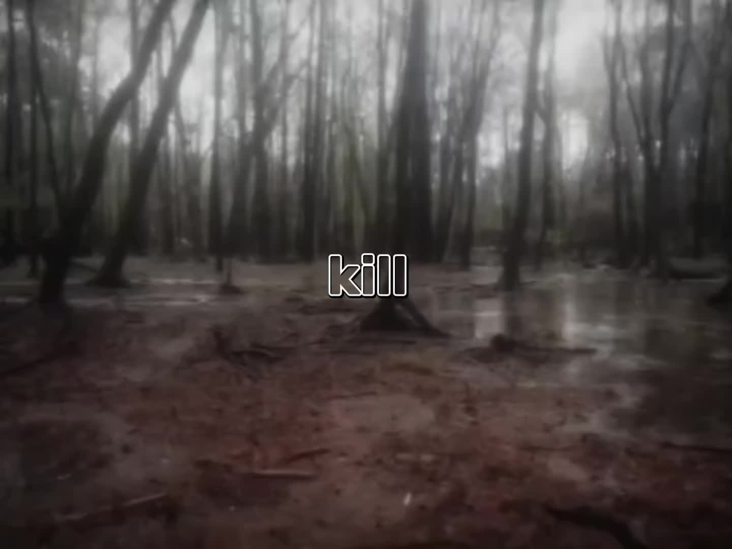 @rainandersskin