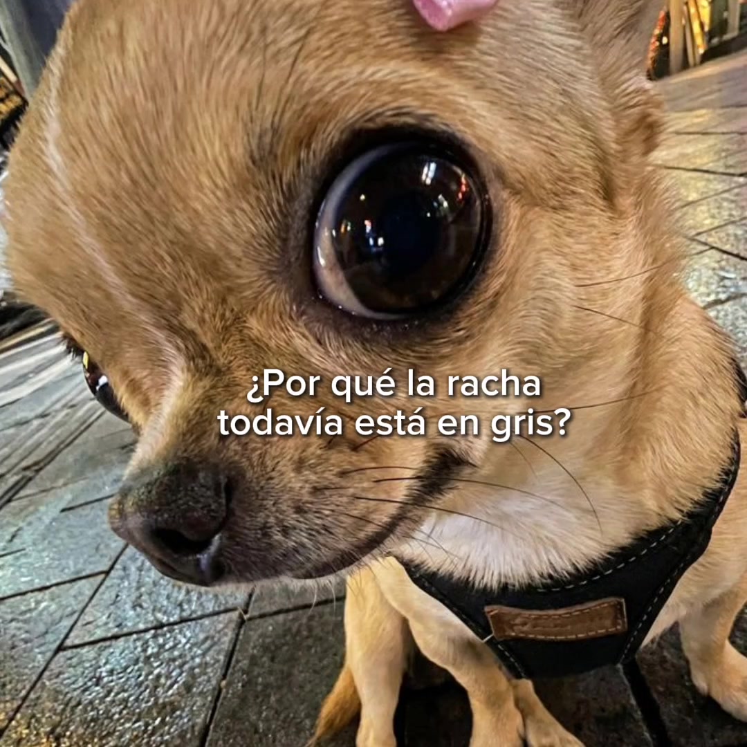 @goodvibessxd