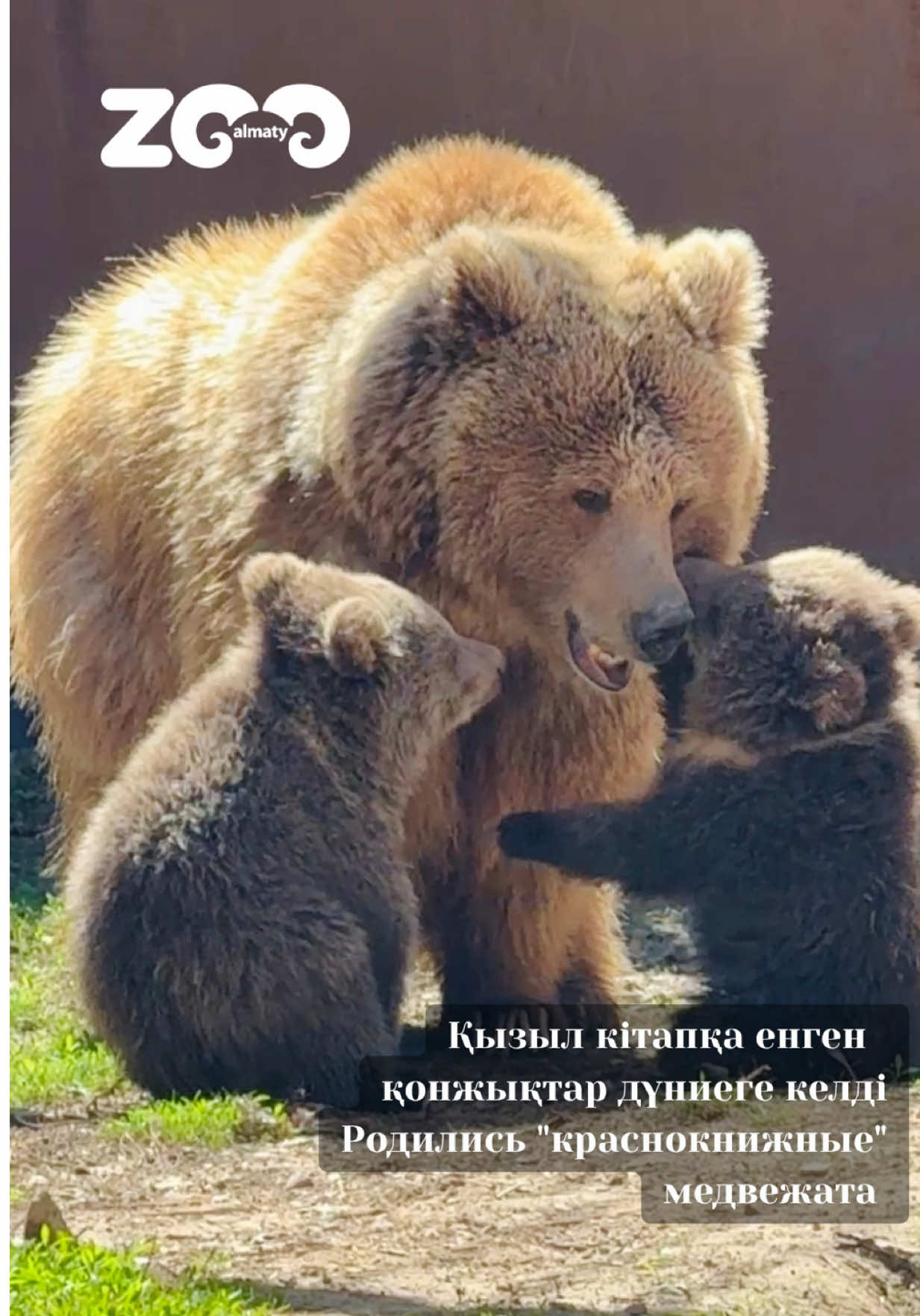 @Алматинский зоопарк