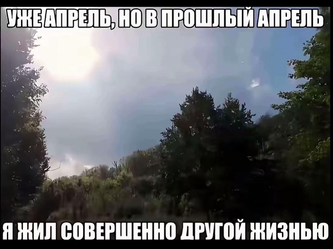 @zarinohkaaa