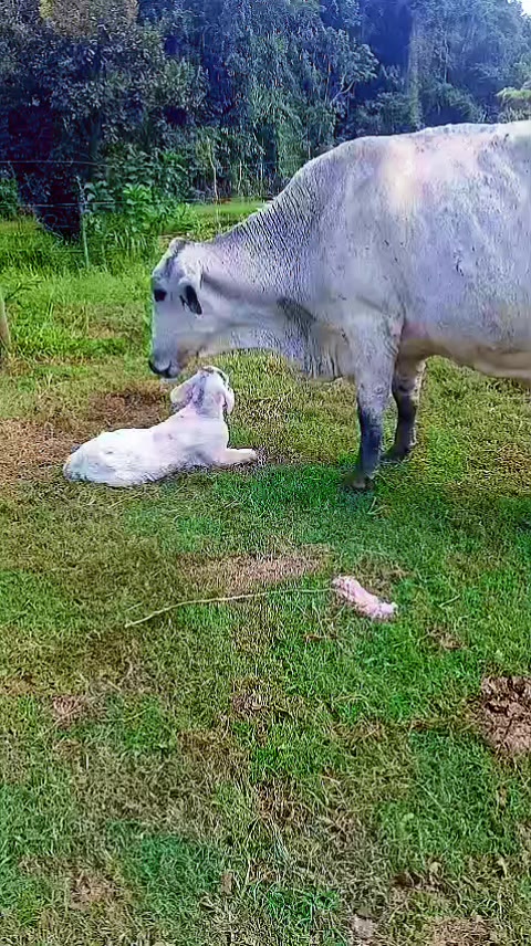 @Fazenda Santa Rosa