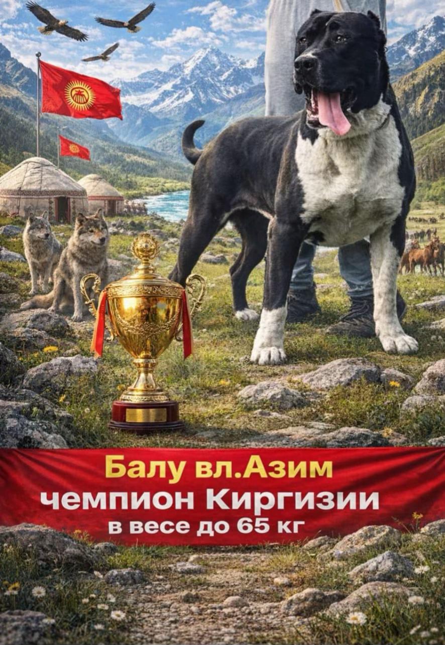@БАЛУ