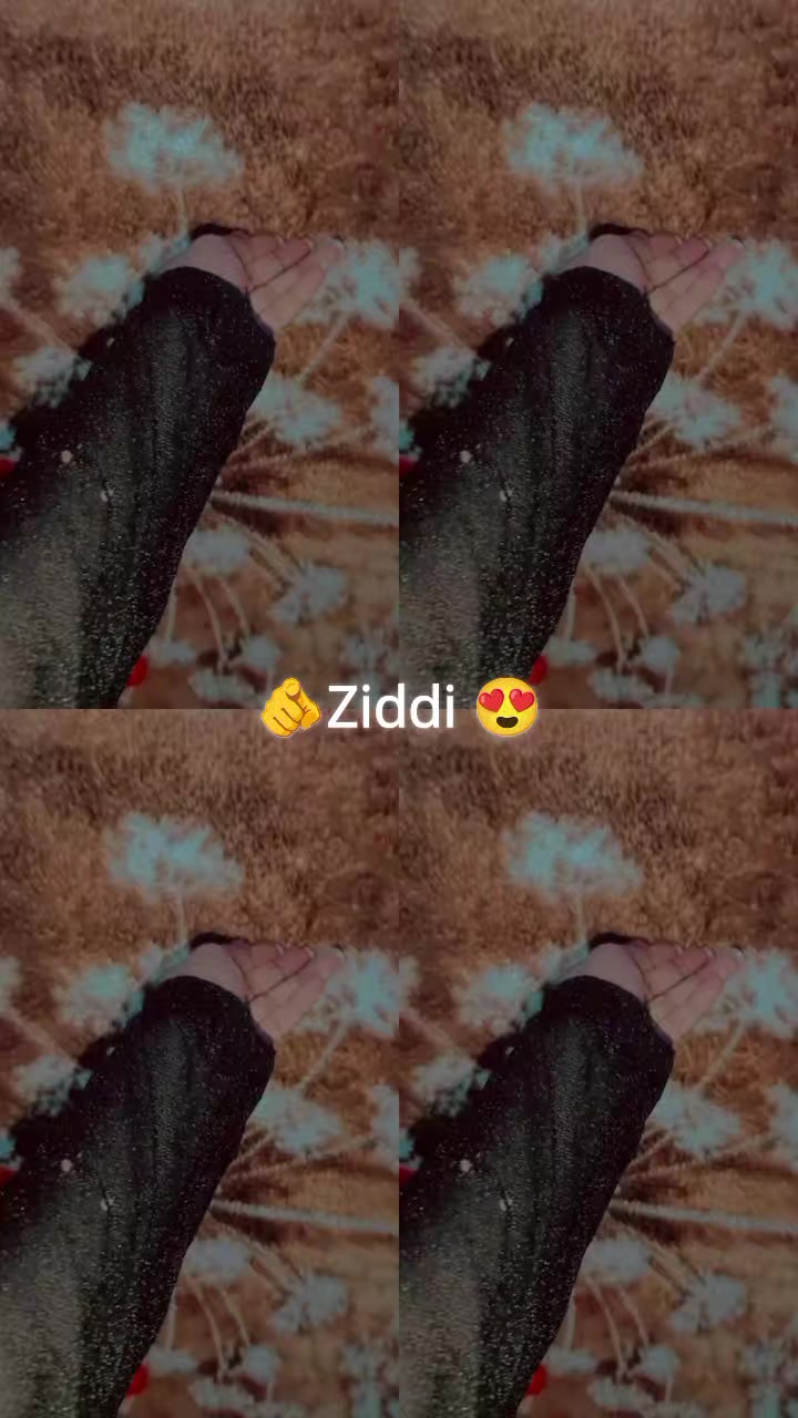 @👑MylLoveZiddi31👑
