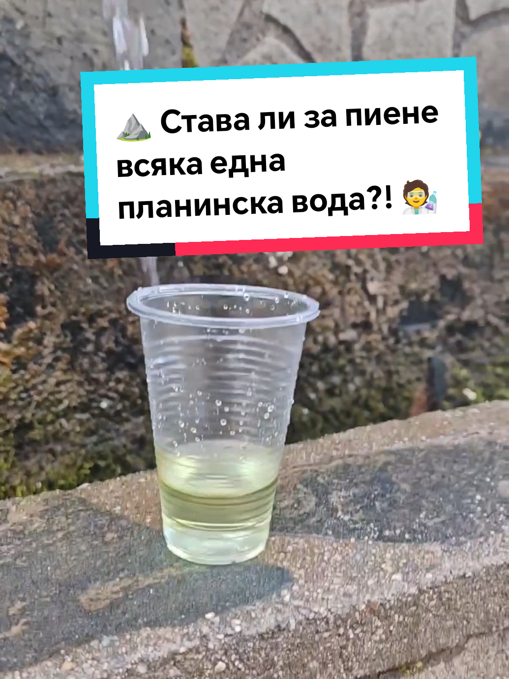 @Nedelin Marinov / Kangen