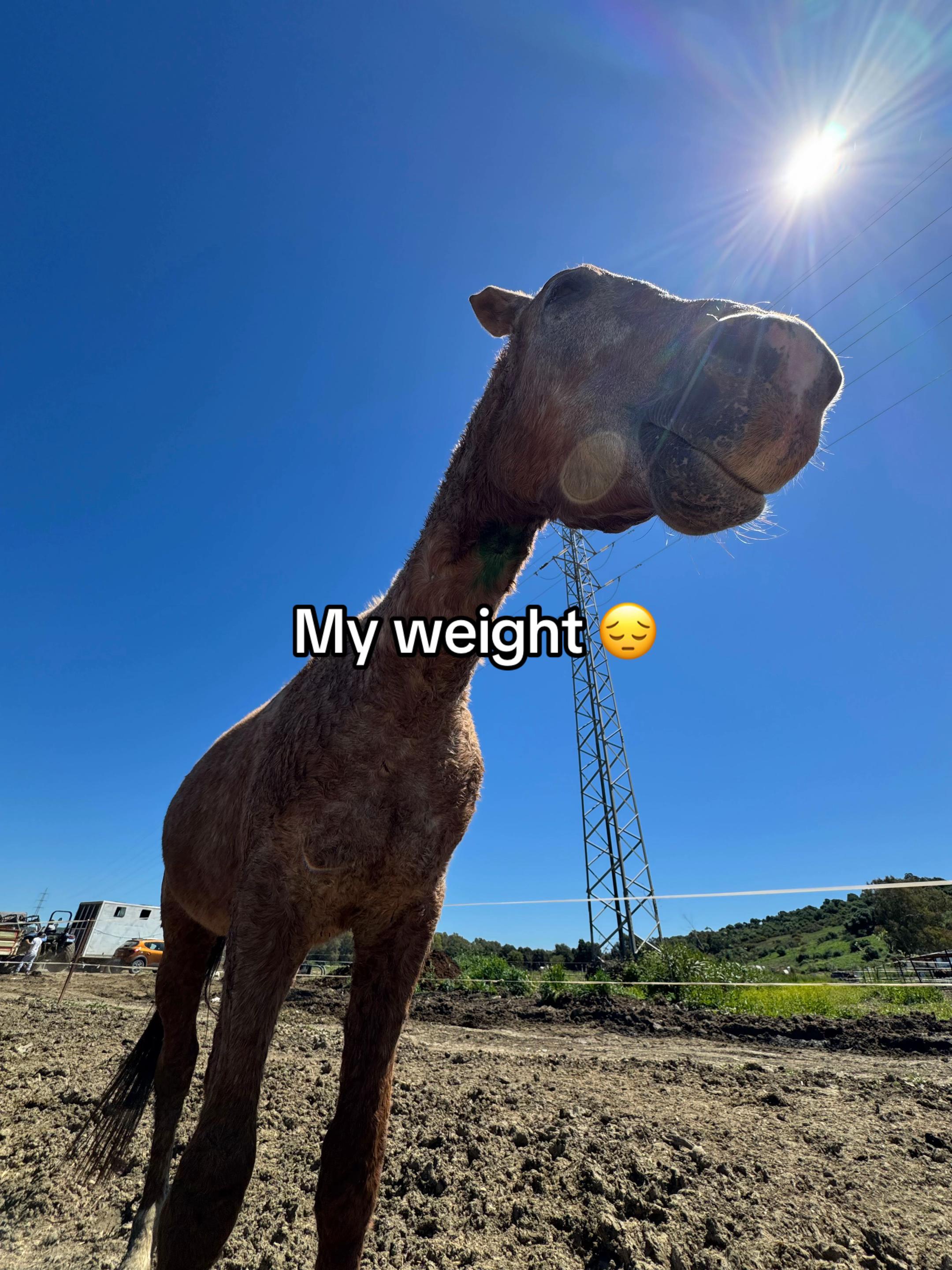 @&hellip;❌🍽️