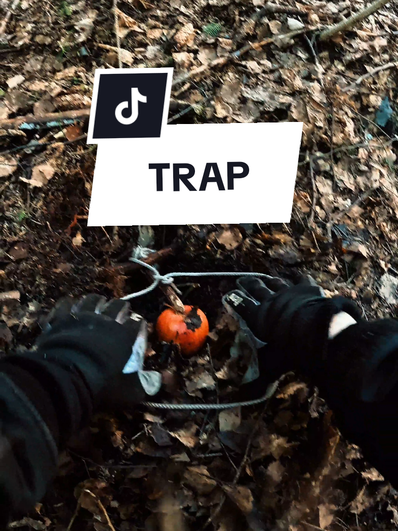 @PROSTECT