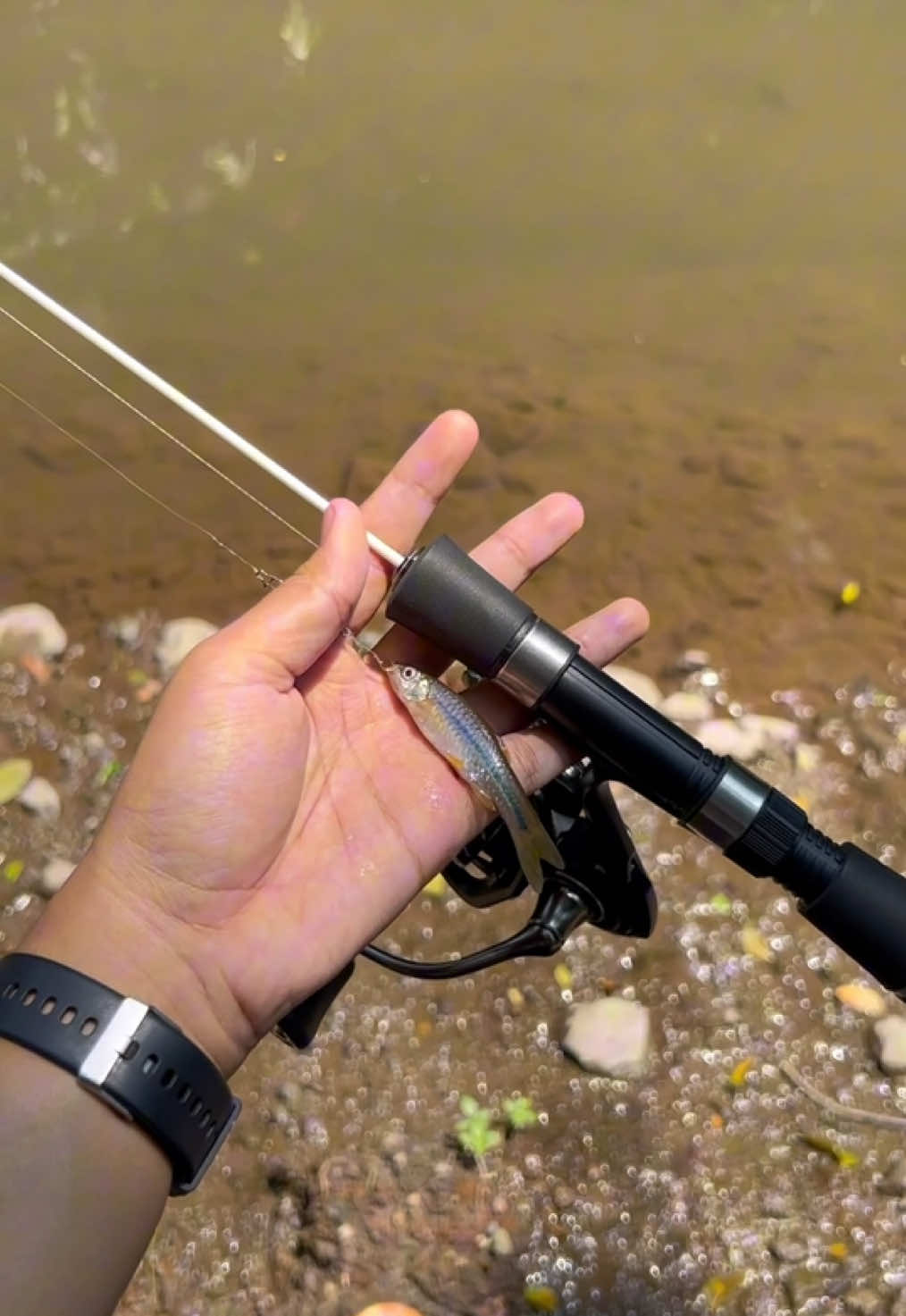 @Andalan Mancing