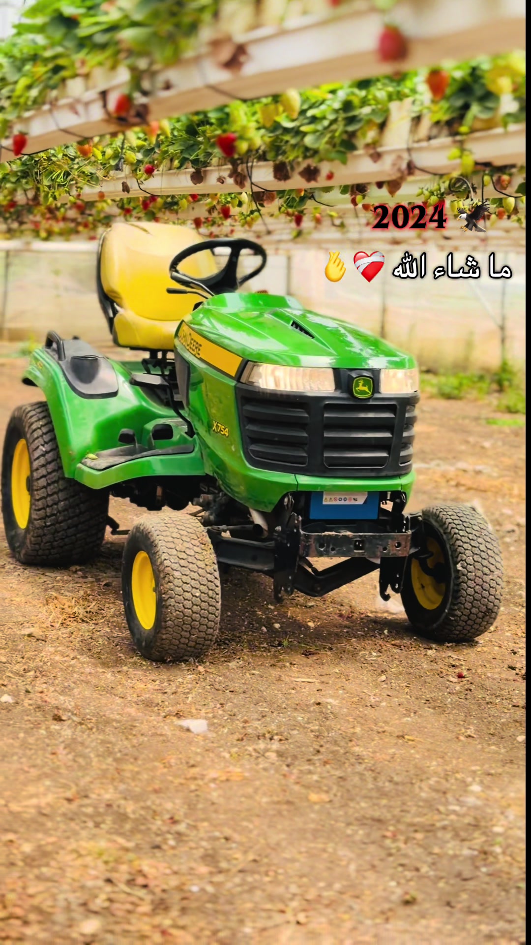 @حازم ابوالرب