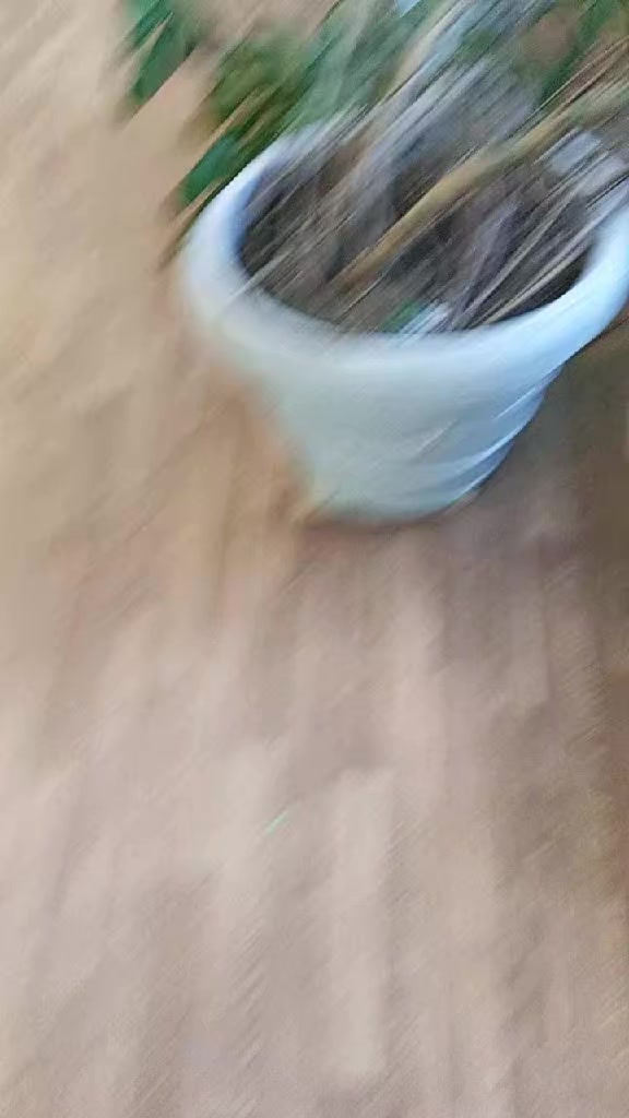 @gh