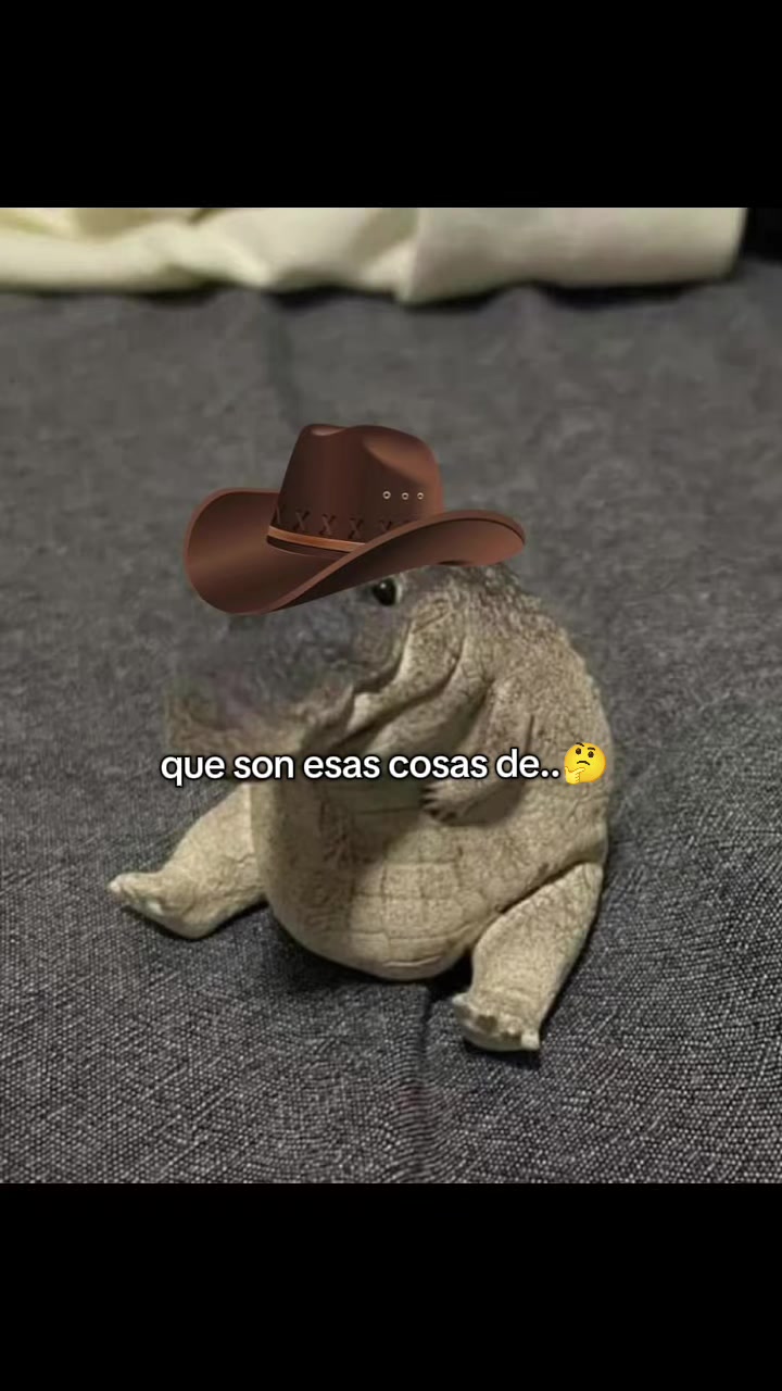 @cocodriloto
