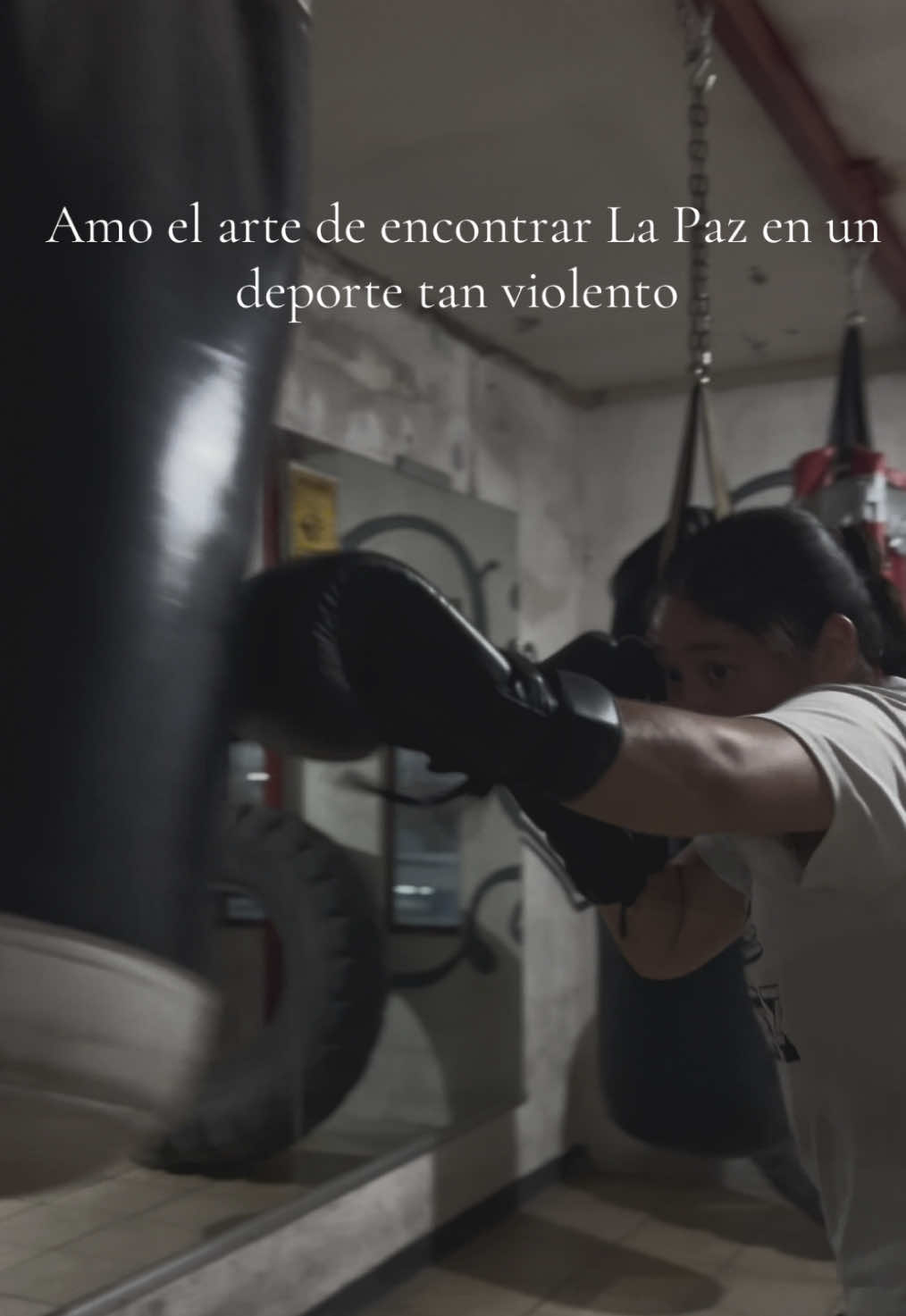 @Aglaemoreno