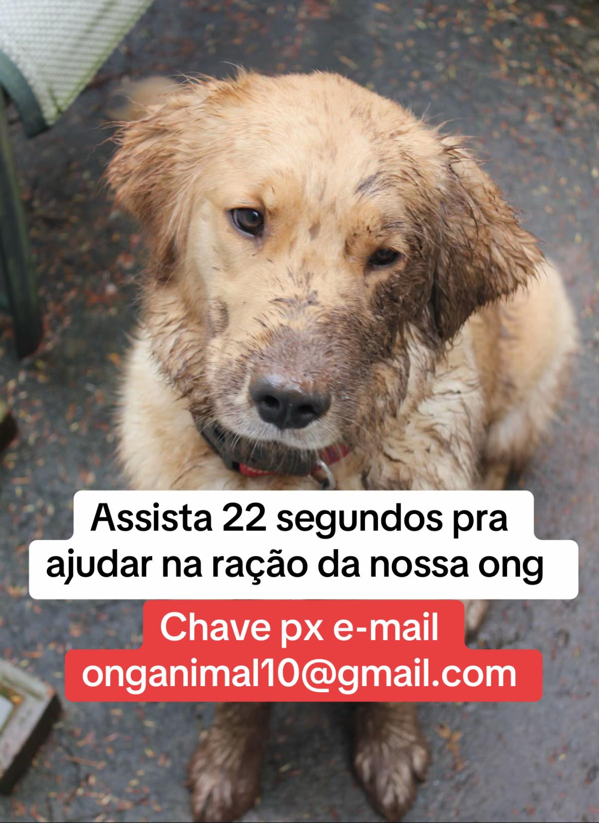 @ABRIGO DA V&Oacute;