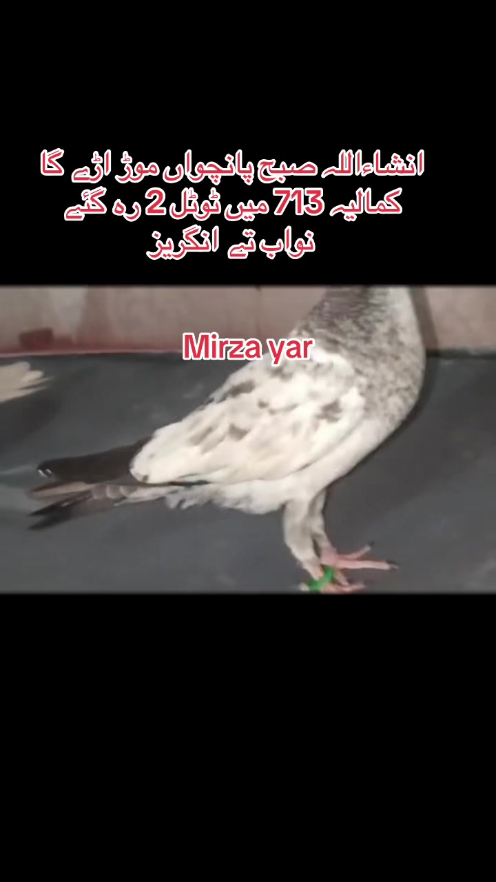 @Mirza Yar Mirza Yar