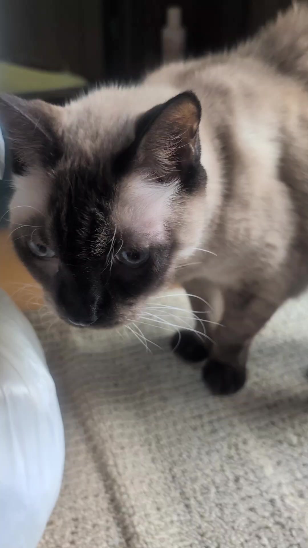 @睡眠プロデュース