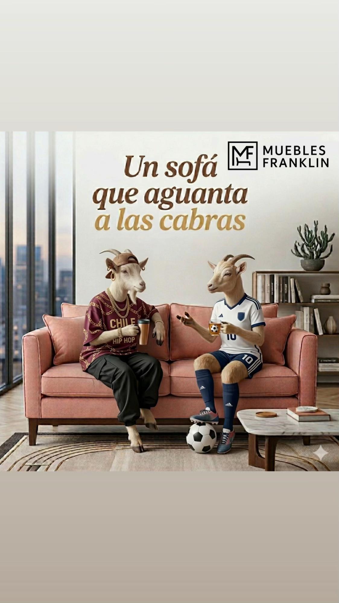 @muebles Franklin