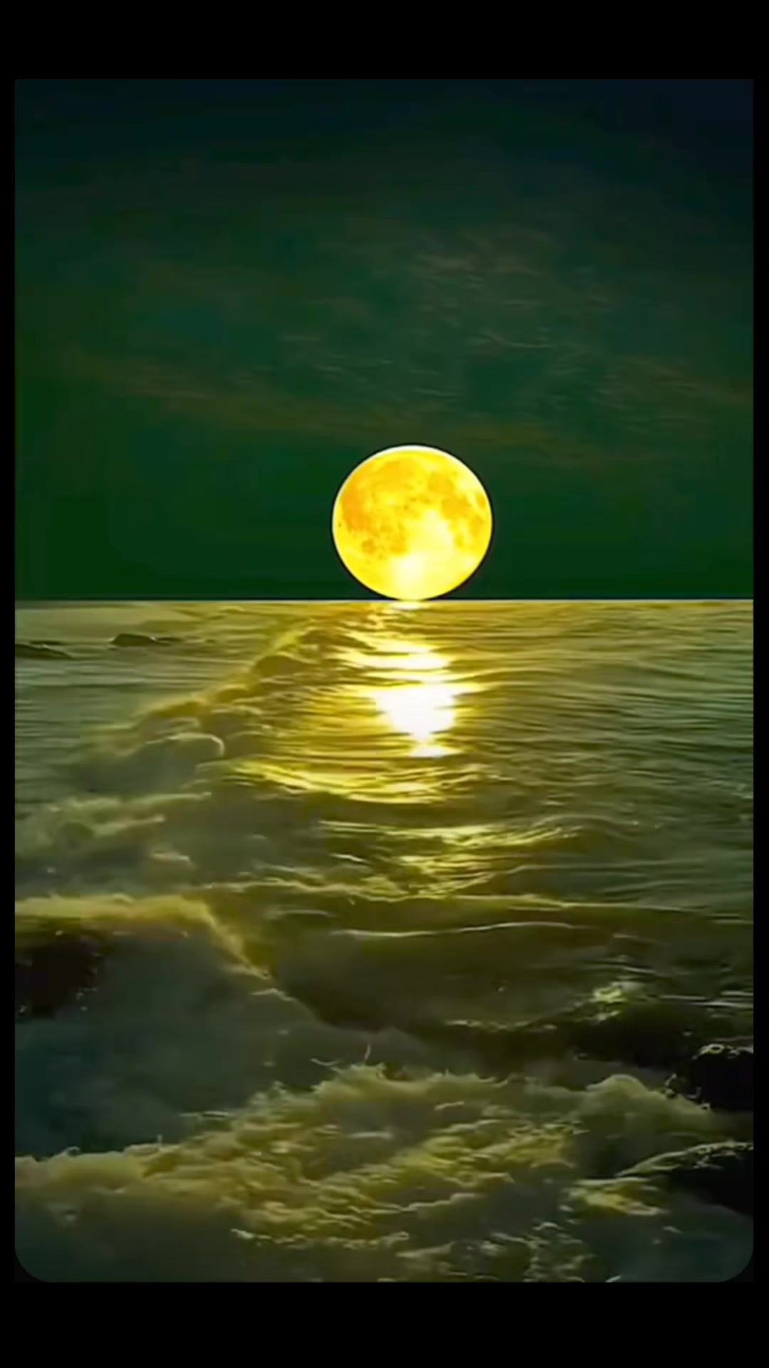 @naliya.53