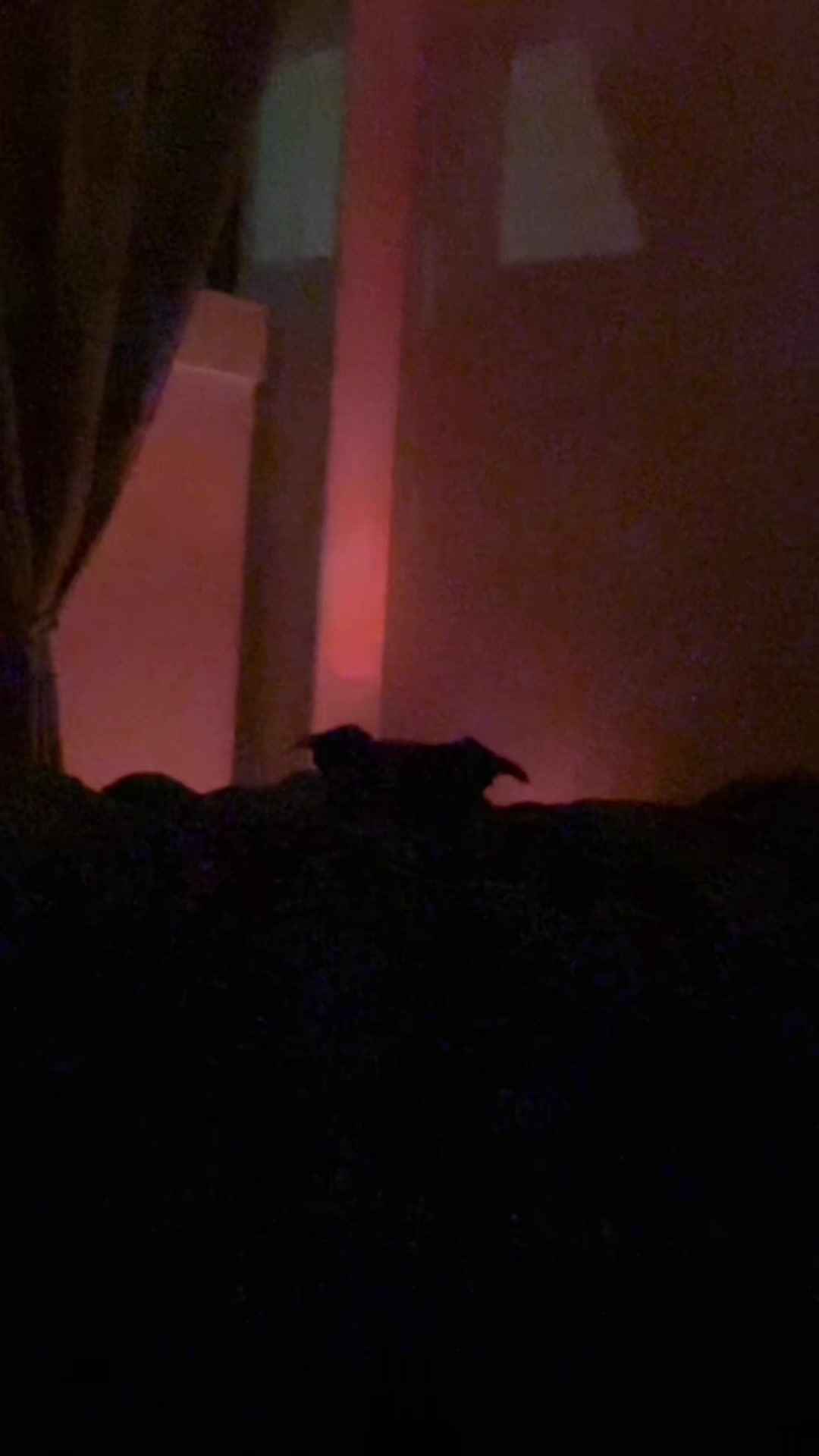 @caponethepitty