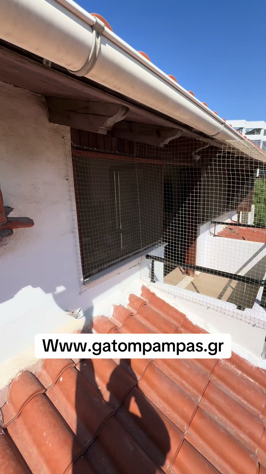 @GatompampasMastoras