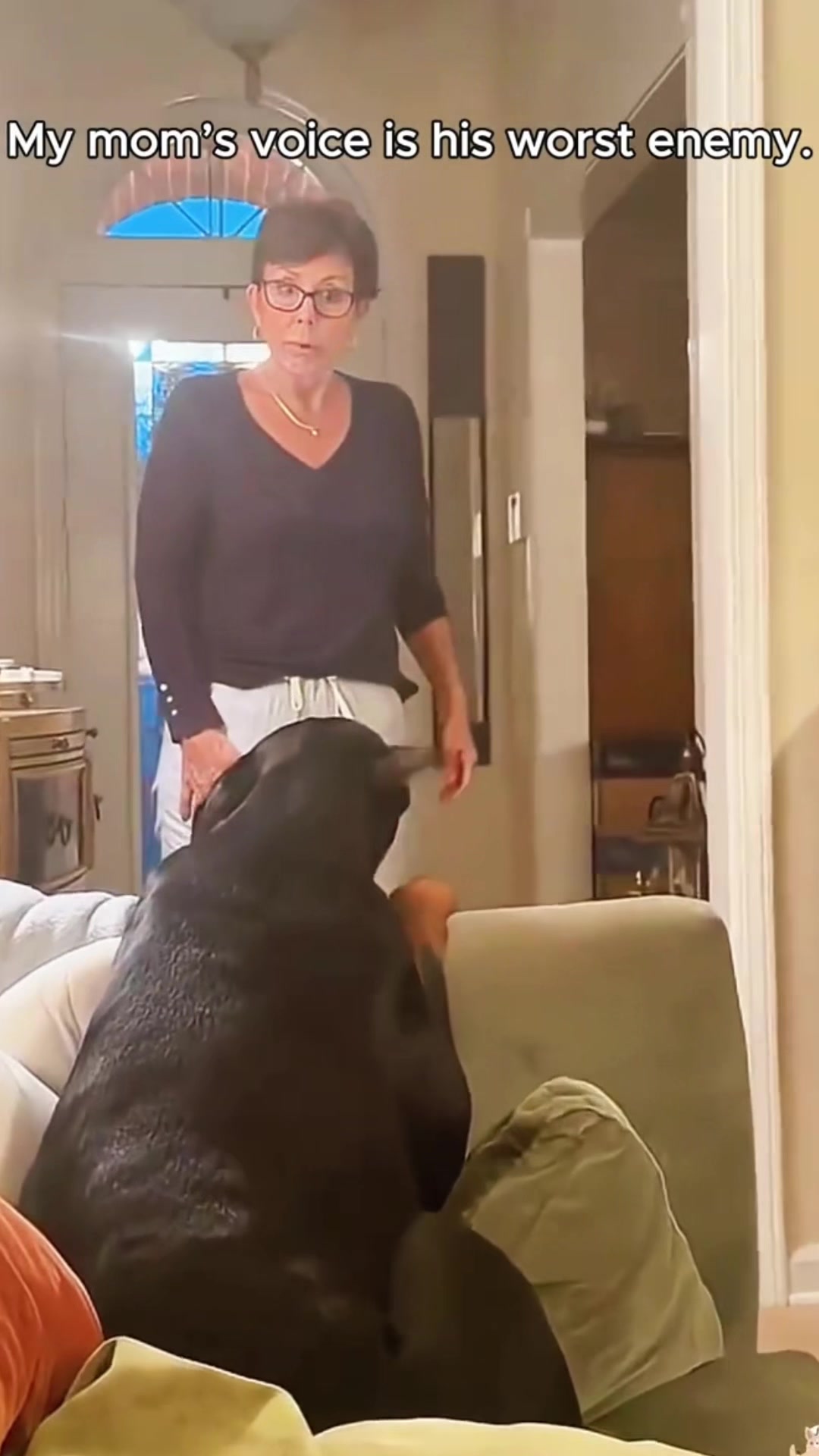 @FunnyAnimals