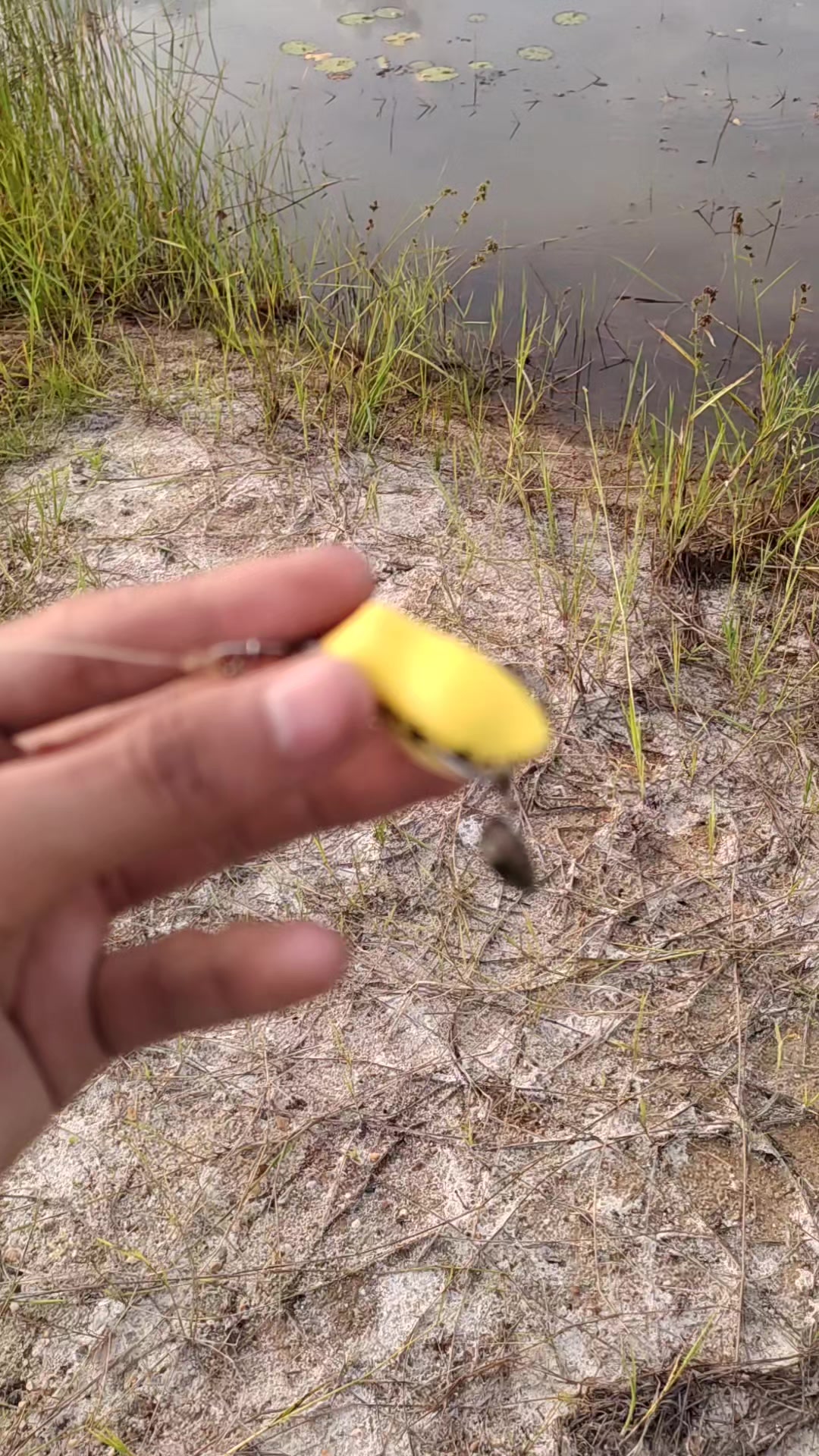 @San Fishing