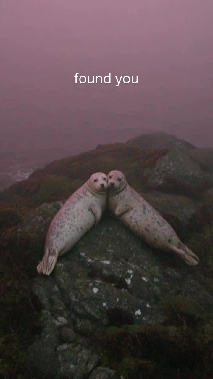 @windedbylove