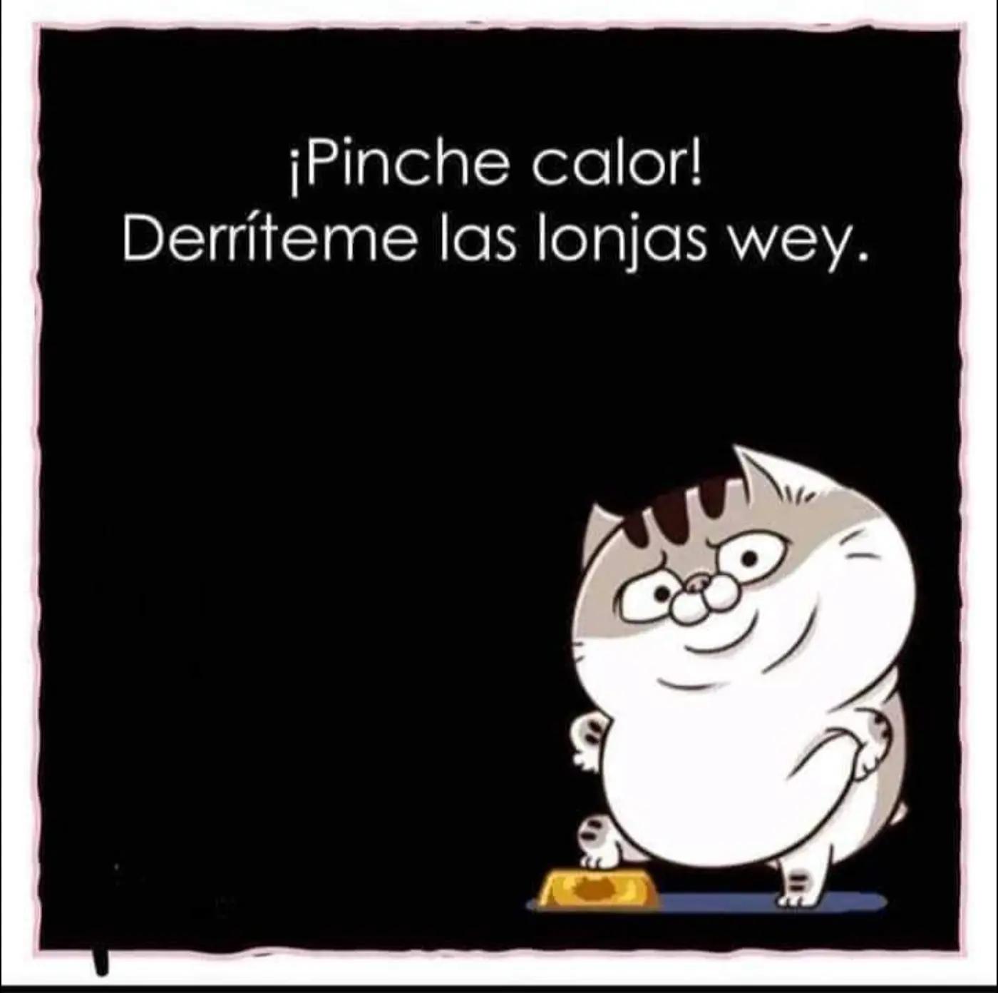@Leticia rey