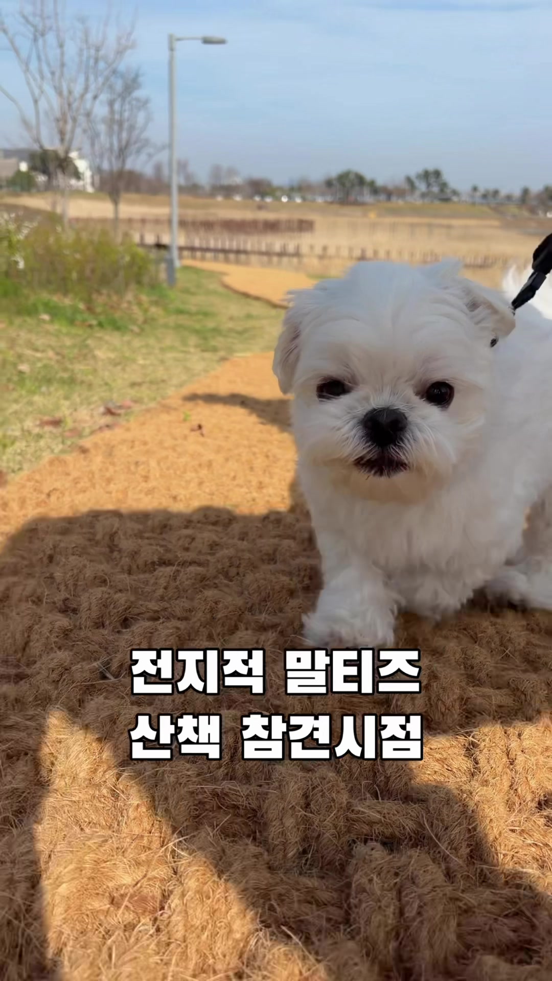 @박까까