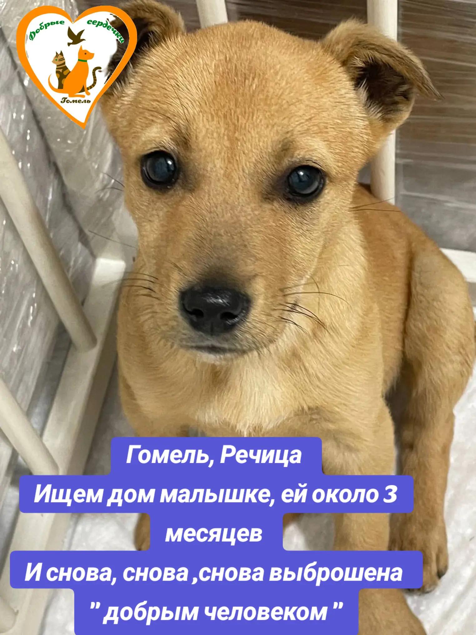 @Марина