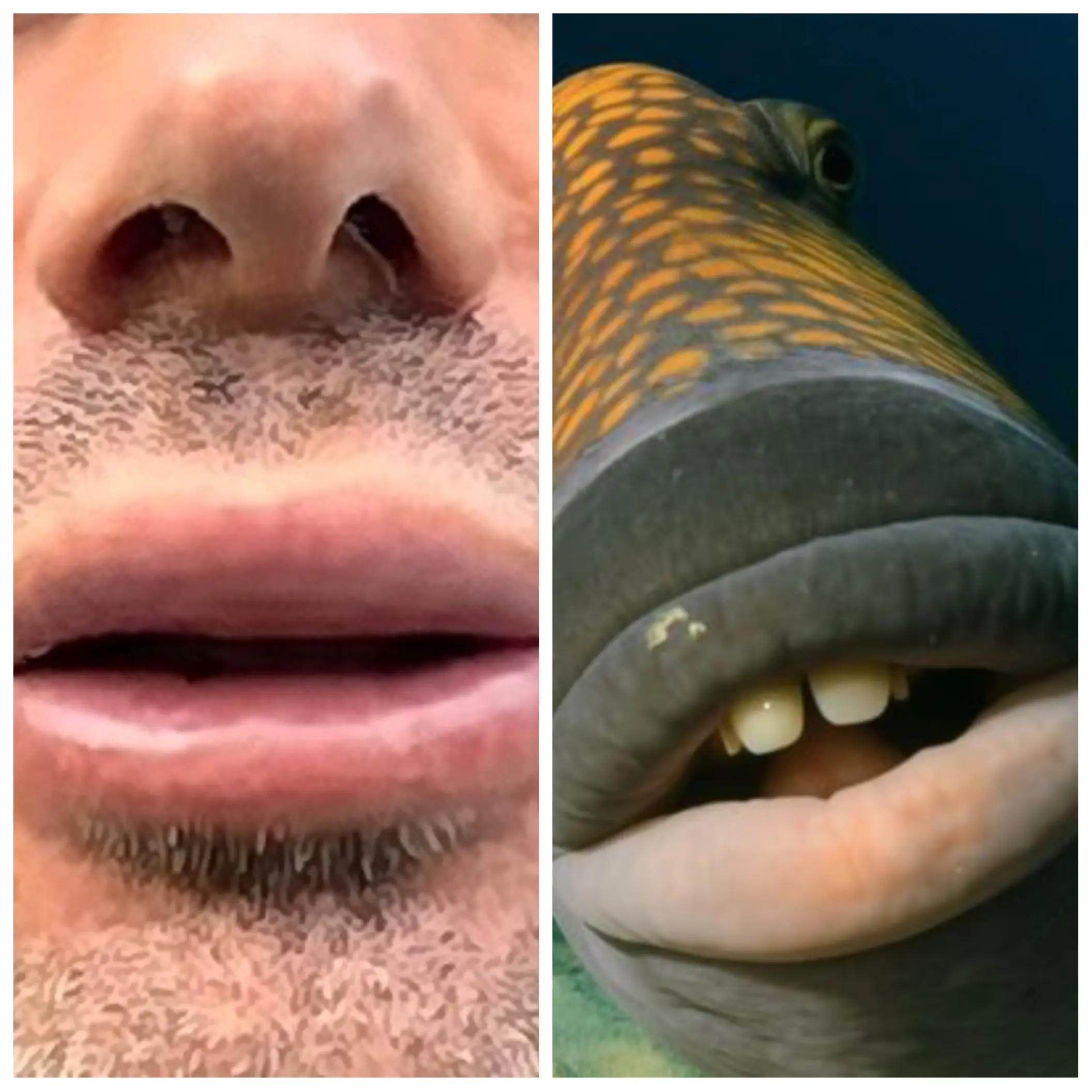 @Pepper_Hog2