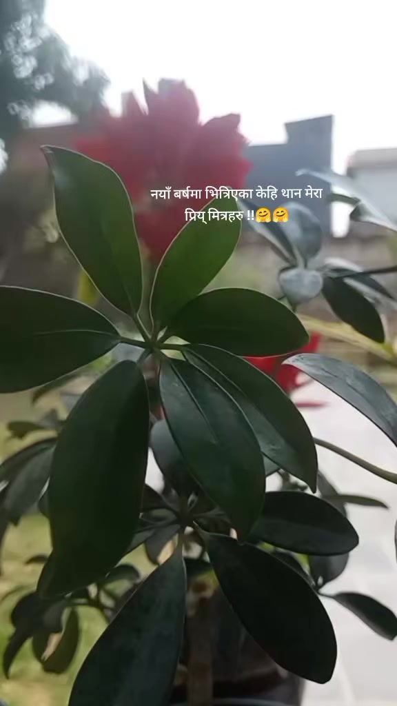 @पढाकु पुस्तकालय