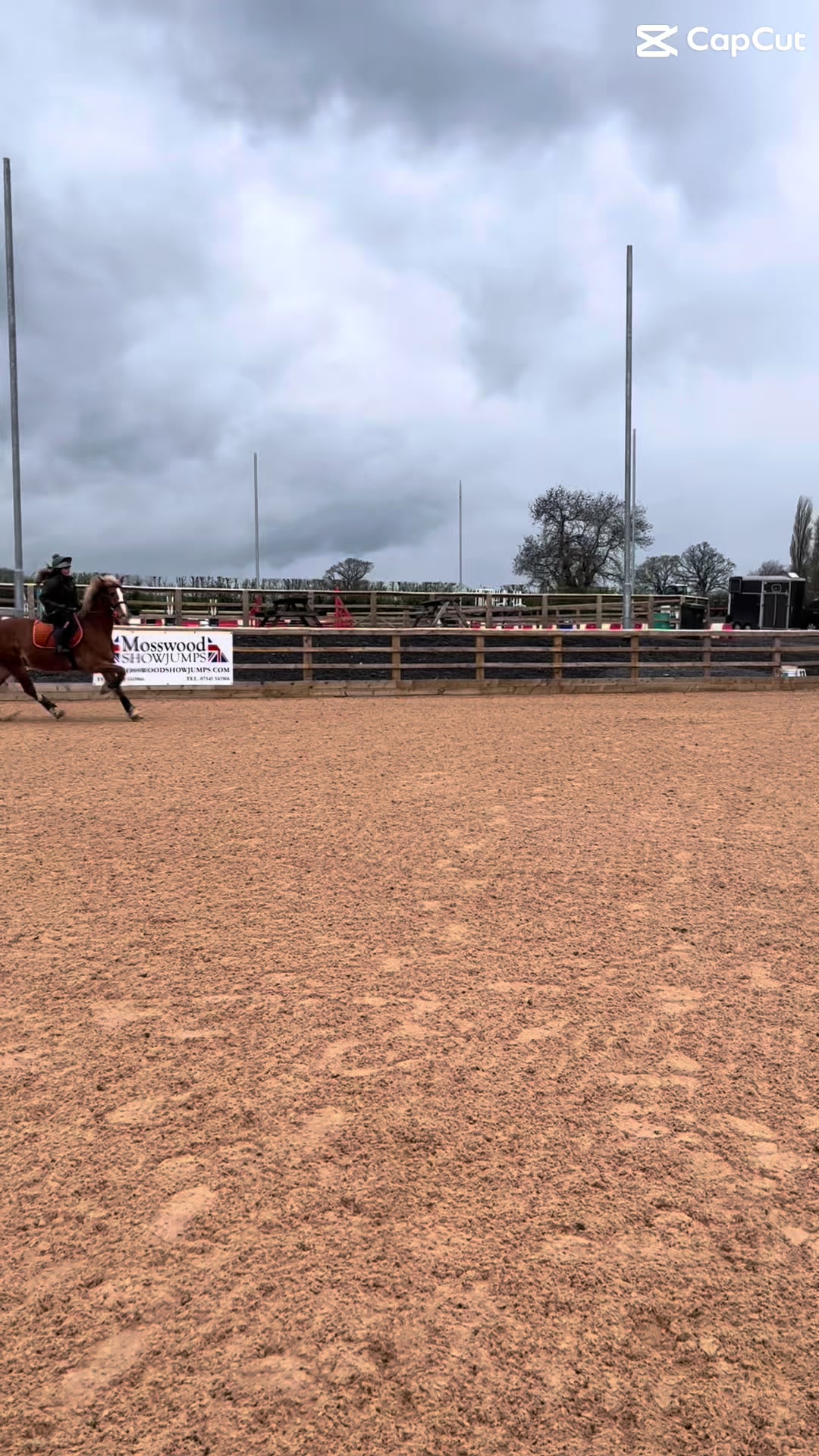 @Ellie 🐴🏎️