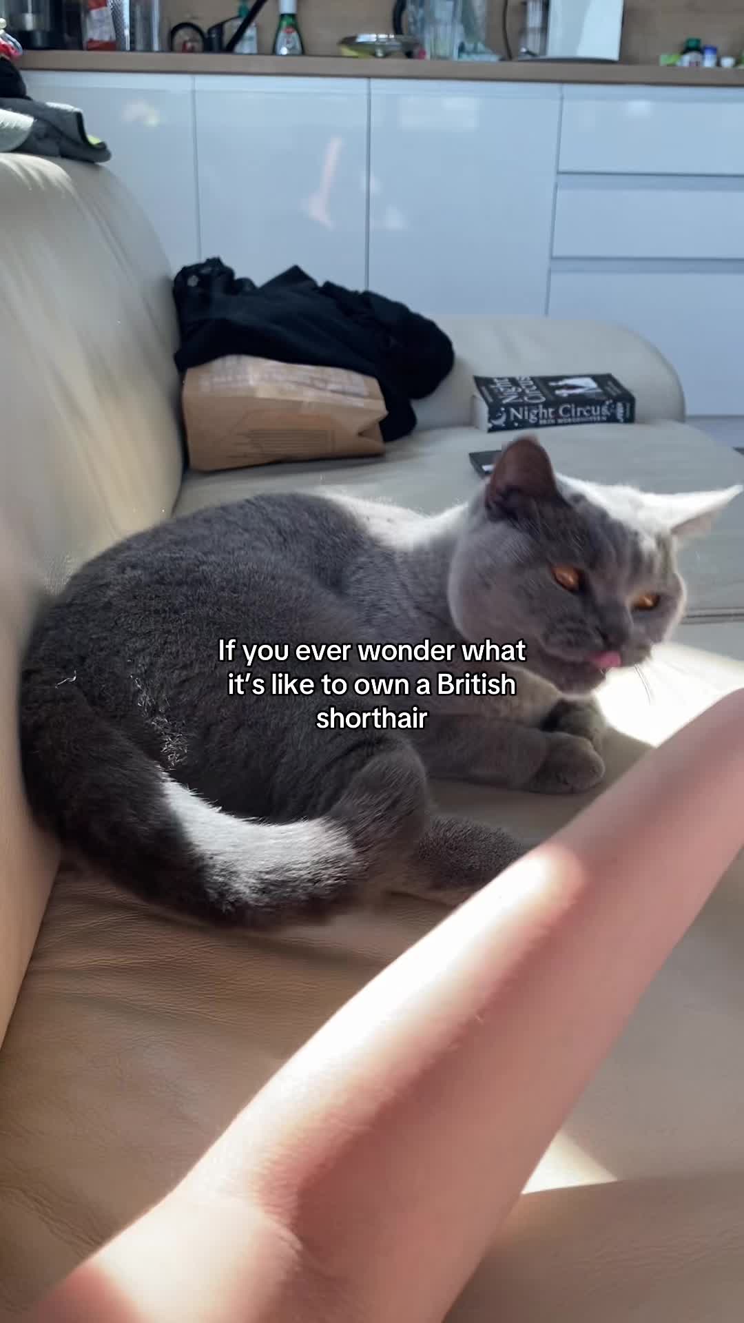 @Charlie and friends