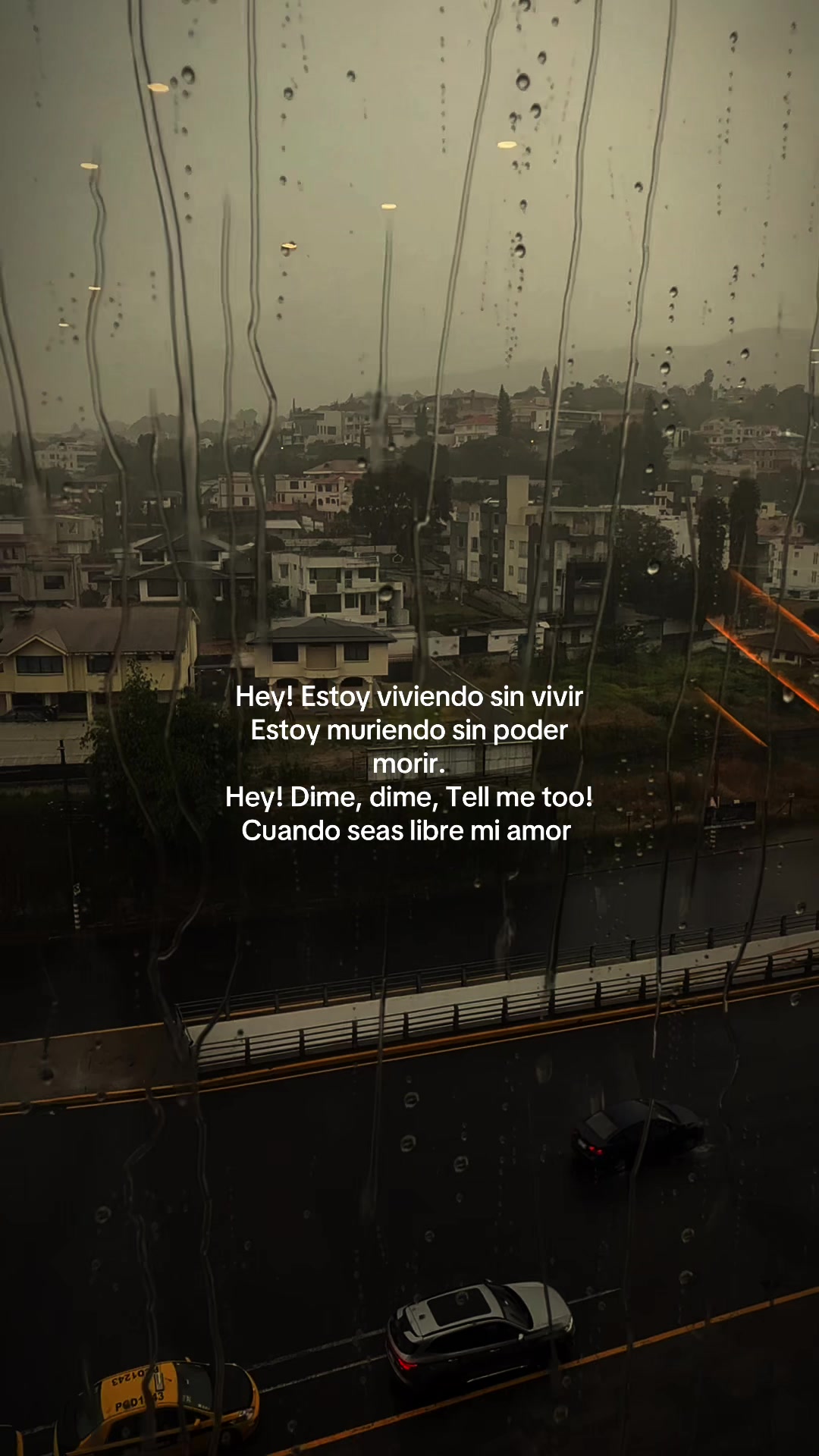 @Carla ʚïɞ