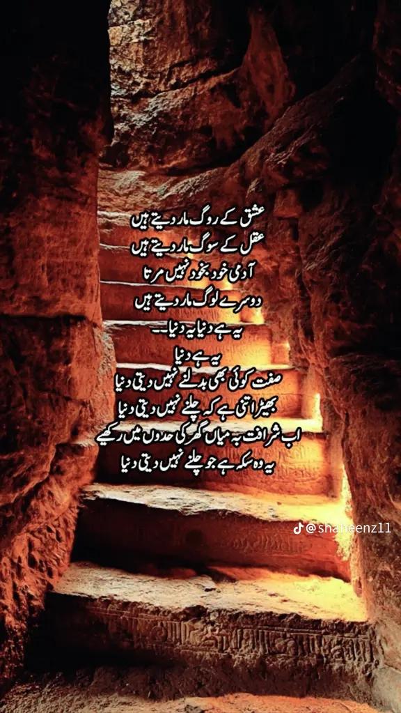 @LIAQAT_ALI