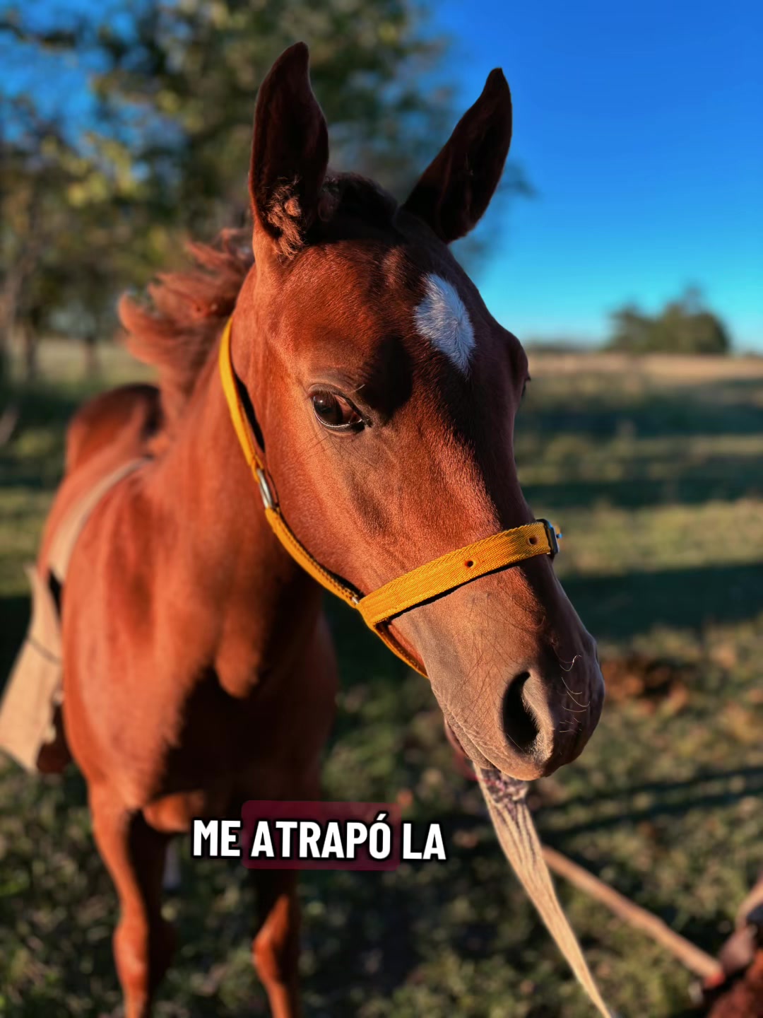 @MAFFIOLI MIA