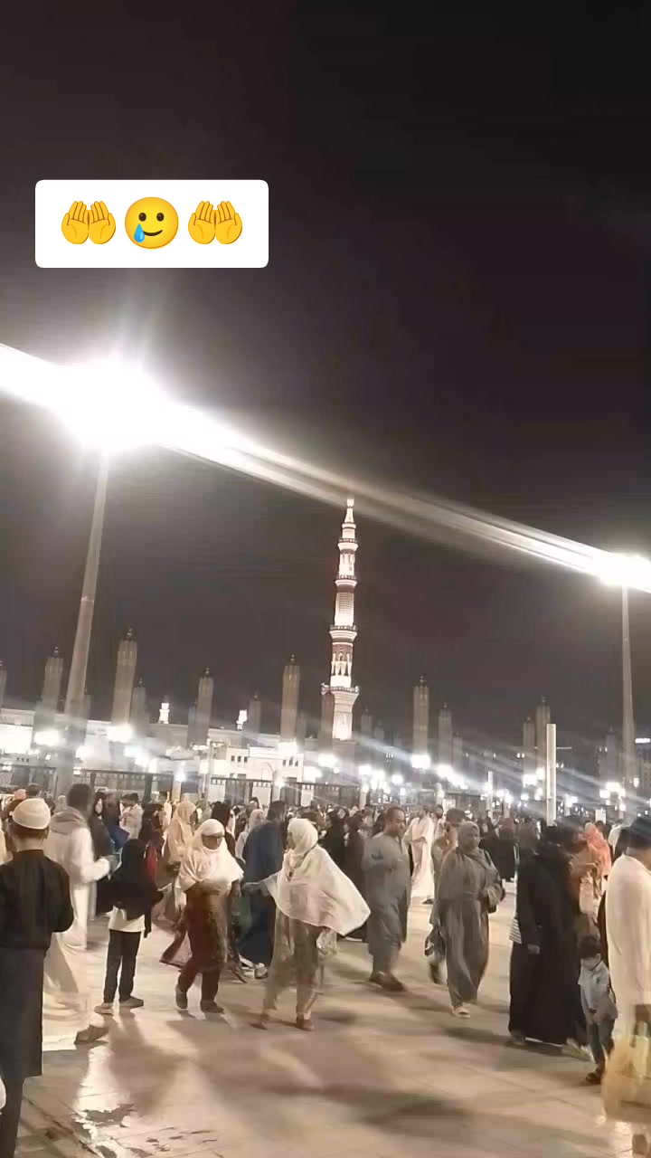 @03060781169❤️📞❤️