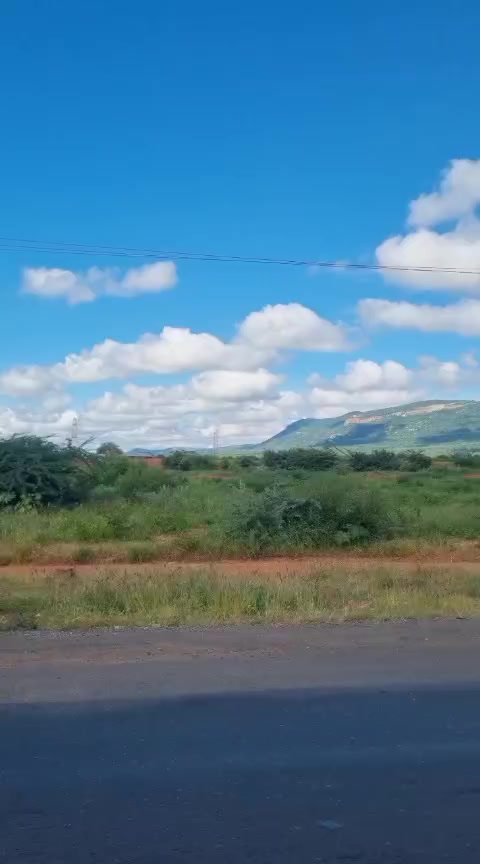 @Taita Hiking And Safari's