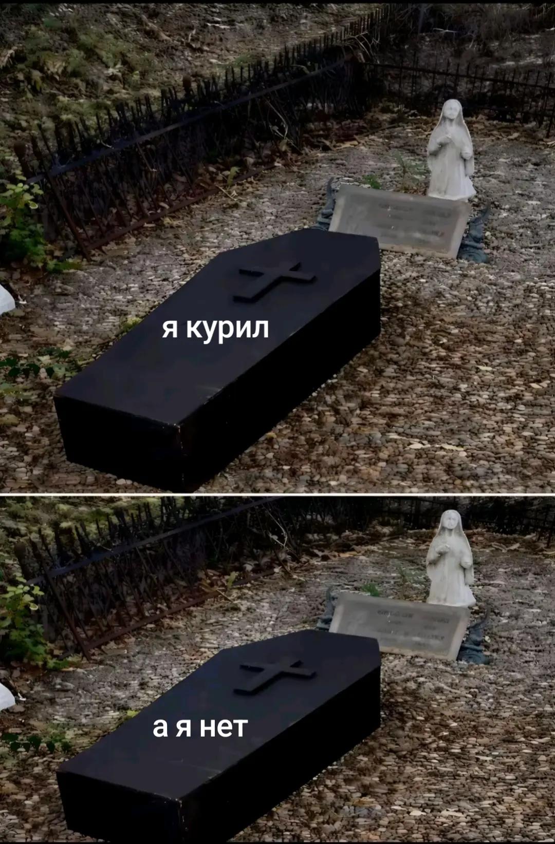 @рыжий