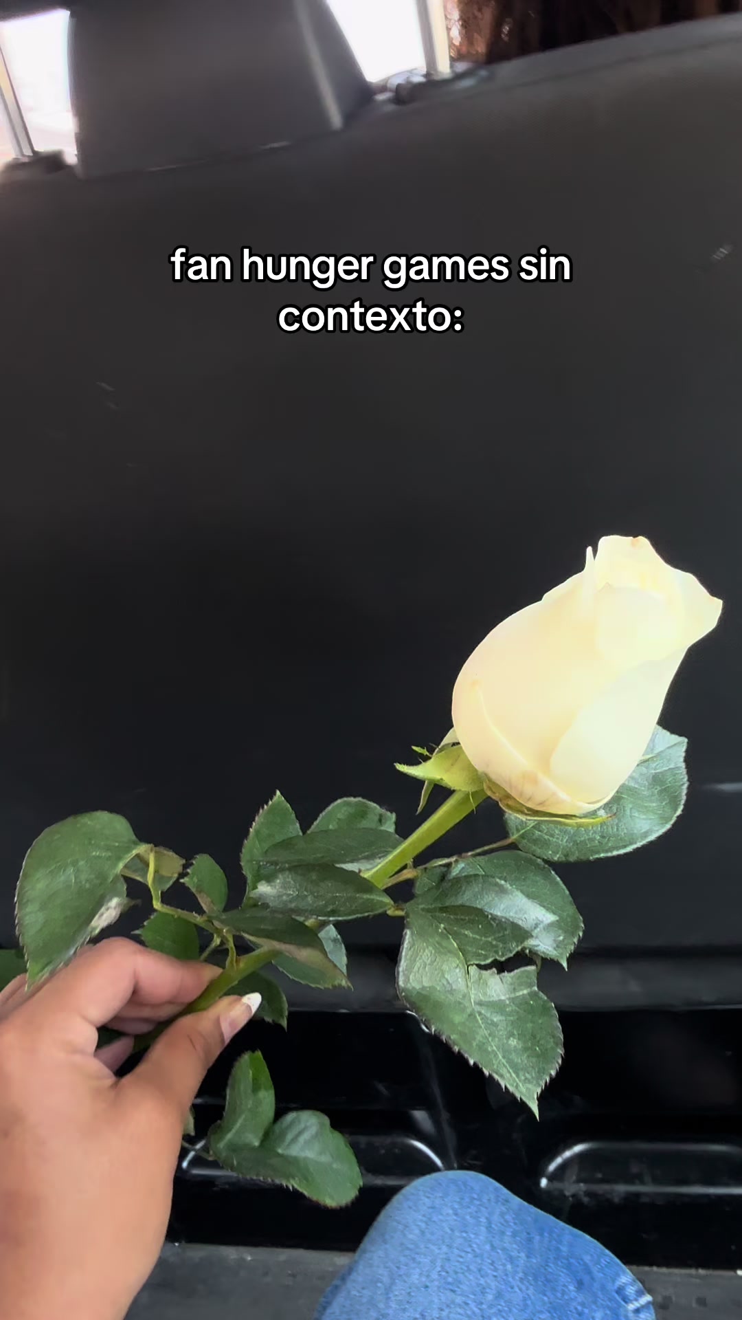 @mockingjayfer