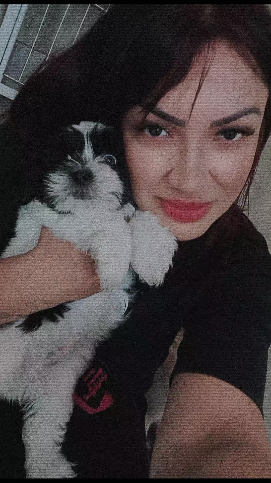 @gisllaynesallesaraujo